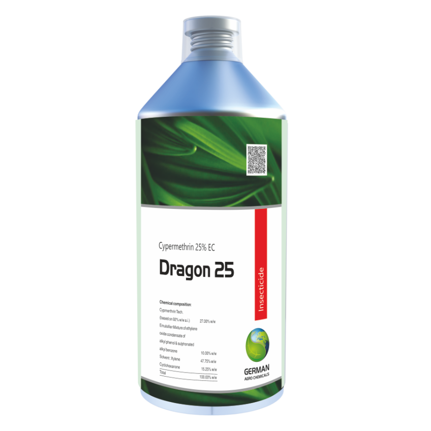 Dragon 25