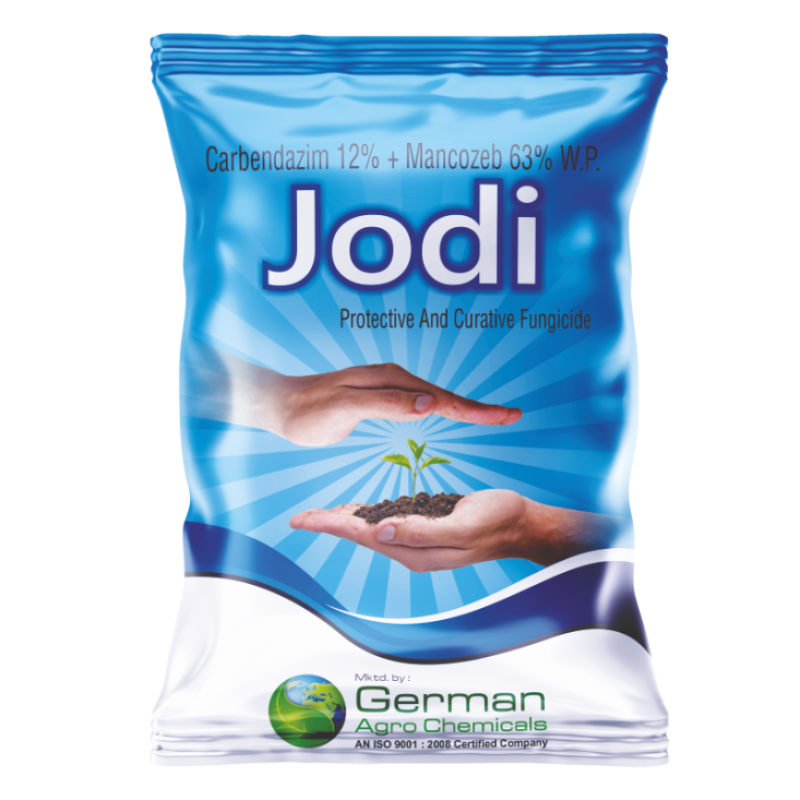 Jodi