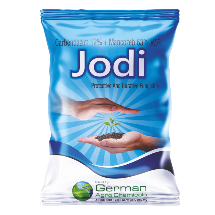 Jodi