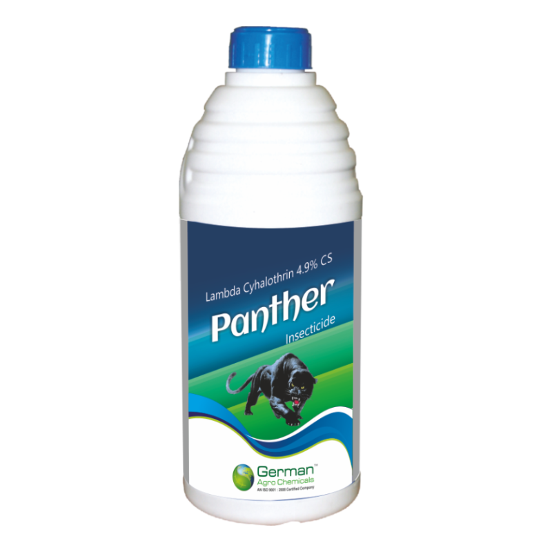 Panther