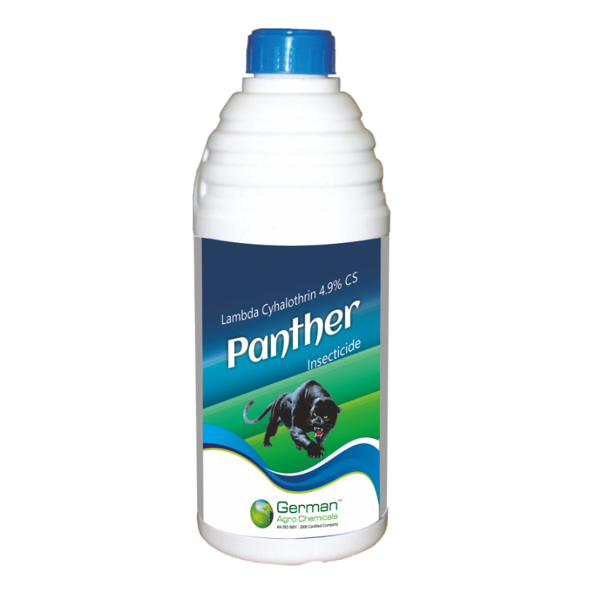 Panther