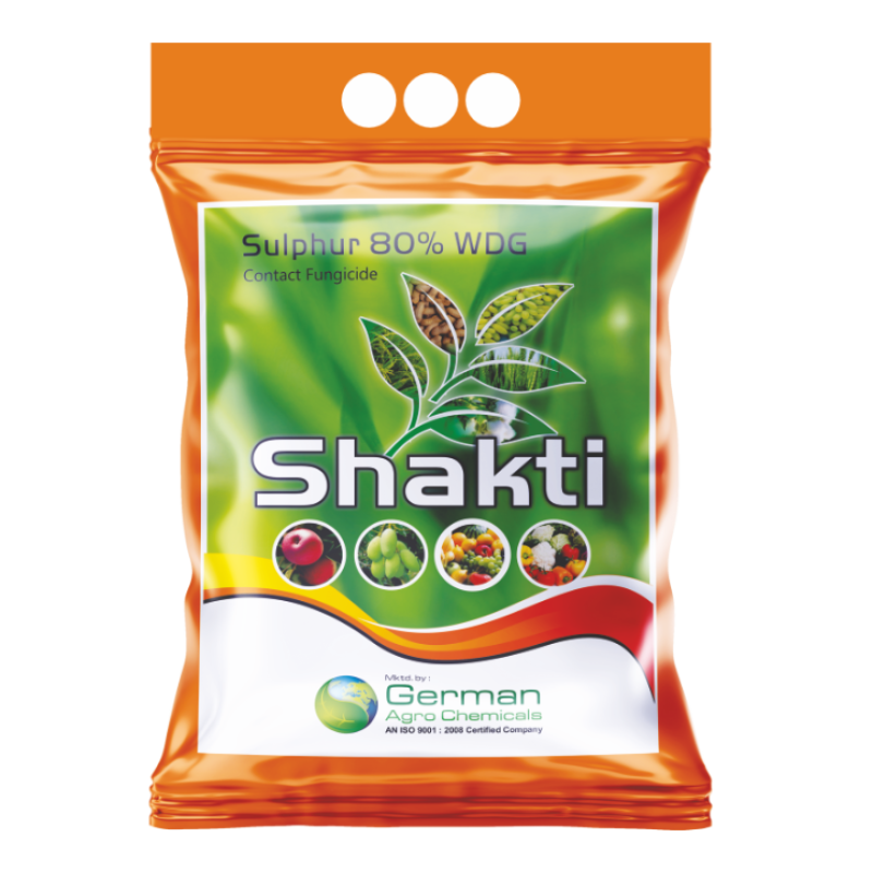 Shakti