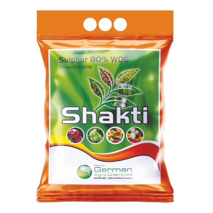 Shakti