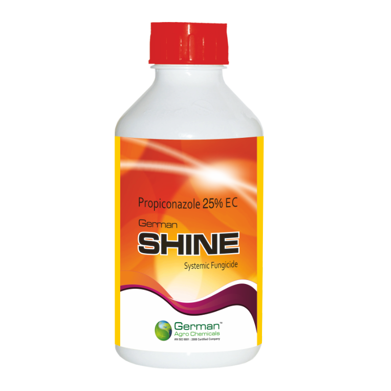 SHINE