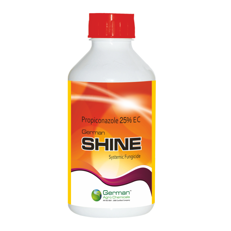 SHINE